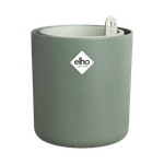 bouncy basil leaf green